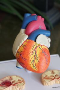 ¿Cuánto gana un cardiólogo en México?